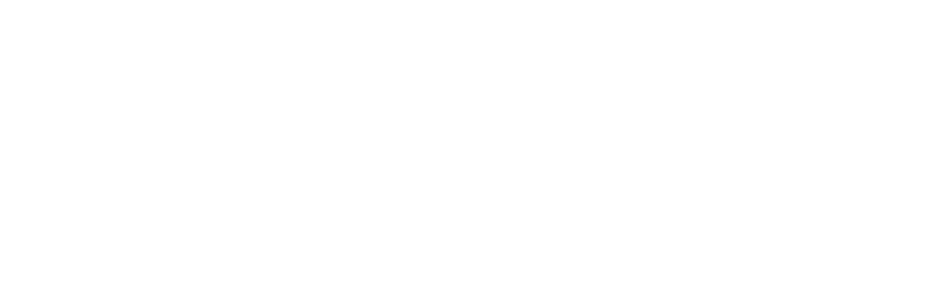 Klinikum Darmstadt Logo in weiß